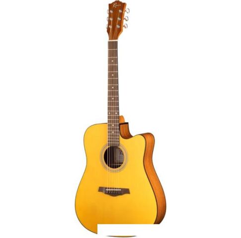 Акустическая гитара Ramis RA-G02C
