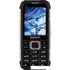 Кнопочный телефон Maxvi T12 (черный)