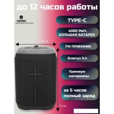 Беспроводная колонка Venso Superia RM-10