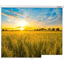 Проекционный экран Lumien Eco Picture 198x300 LEP-100120