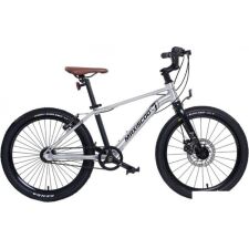 Детский велосипед Maxiscoo 7Bike 20 M700 2024 (серебристый)