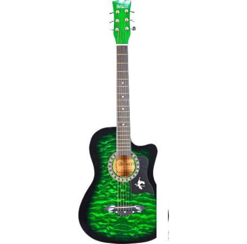 Акустическая гитара Belucci BC3830 GR