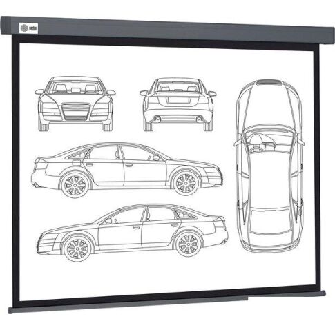 Проекционный экран CACTUS Wallscreen 168x299 CS-PSW-168X299-SG