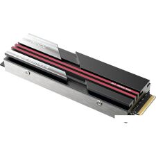 SSD Netac NV7000 2TB NT01NV7000-2T0-E4X