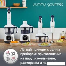 Погружной блендер Moulinex Yummy Gourmet DD55W110