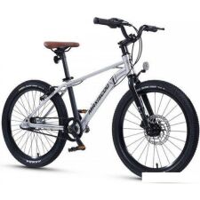 Детский велосипед Maxiscoo 7Bike 20 M700 2024 (серебристый)