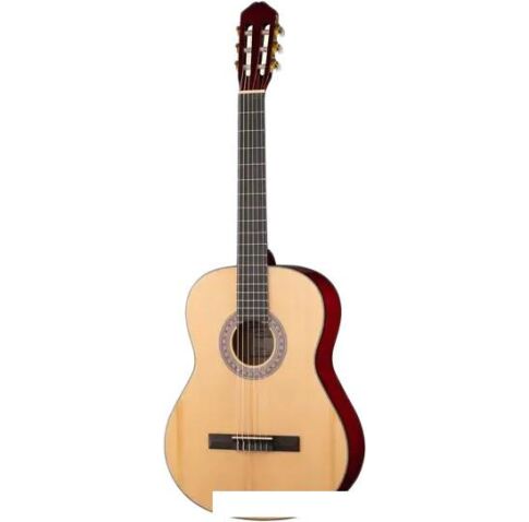 Акустическая гитара Caraya C955-N