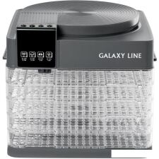 Сушилка для овощей и фруктов Galaxy Line GL2630 (серый)