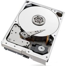 Жесткий диск Seagate SkyHawk AI 10TB ST10000VE000