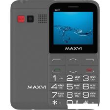 Кнопочный телефон Maxvi B231 (серый)