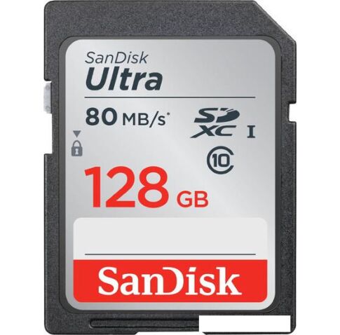 Карта памяти SanDisk SDXC (Class 10) 128GB [SDSDUNC-128G-GN6IN]