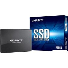 SSD Gigabyte 1TB GP-GSTFS31100TNTD