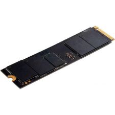 SSD Digma Pro Top P8 1TB DGPST4001TP8T7