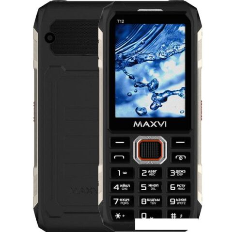 Кнопочный телефон Maxvi T12 (черный)