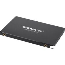 SSD Gigabyte 1TB GP-GSTFS31100TNTD