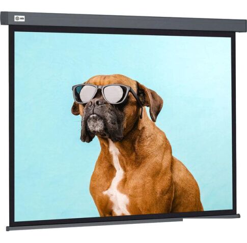 Проекционный экран CACTUS Wallscreen 149x265 CS-PSW-149X265-SG