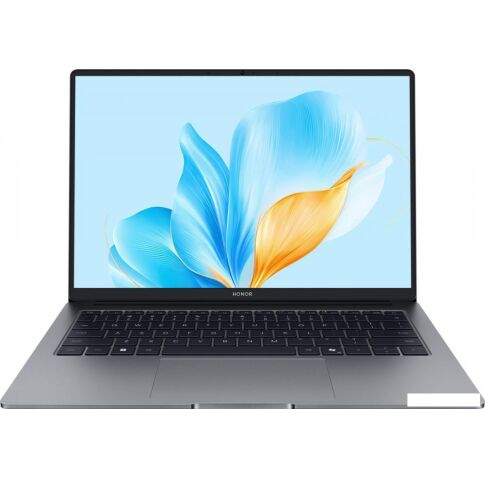 Ноутбук HONOR MagicBook X14 2025 FRG-X 5301ALWG