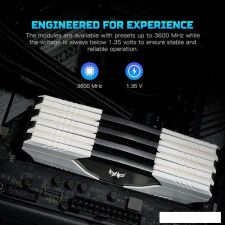 Оперативная память Acer Predator Talos 2x8ГБ DDR4 3000 МГц BL.9BWWR.211