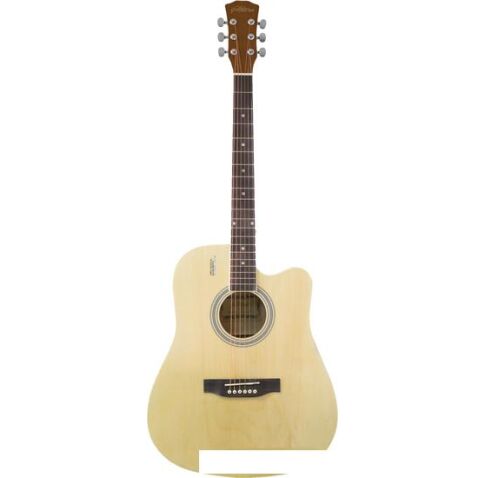 Акустическая гитара Elitaro E4110 N