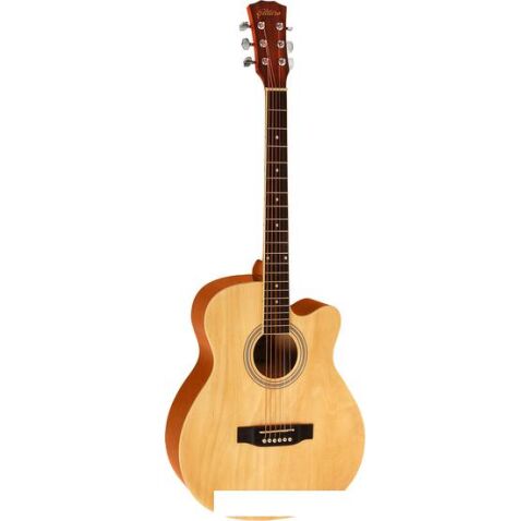 Акустическая гитара Elitaro E4010 N