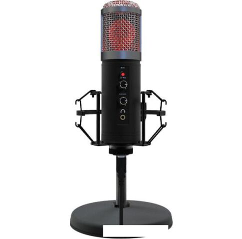 Микрофон Ritmix RDM-260 USB Eloquence