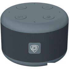 Беспроводная аудиосистема Prestigio Smartvoice (черный/серый)