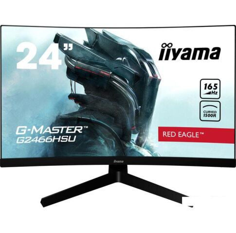 Монитор Iiyama G-Master G2466HSU-B1