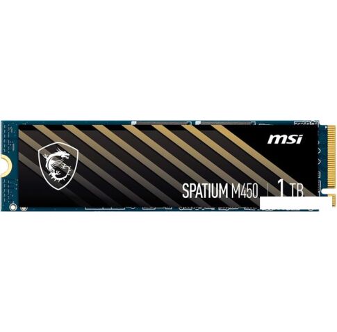 SSD MSI Spatium M450 2TB S78-440Q510-P83