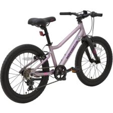 Детский велосипед Maxiscoo 5Bike 20 L 2024 (розовый сапфир)