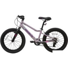 Детский велосипед Maxiscoo 5Bike 20 L 2024 (розовый сапфир)