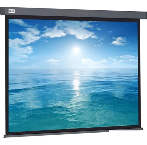 Проекционный экран CACTUS Wallscreen 104x186 CS-PSW-104X186-SG