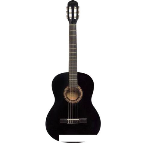 Акустическая гитара Terris TC-395A BK