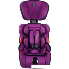 Детское автокресло Amarobaby Big trip AB212006BTF/22 (фиолетовый)